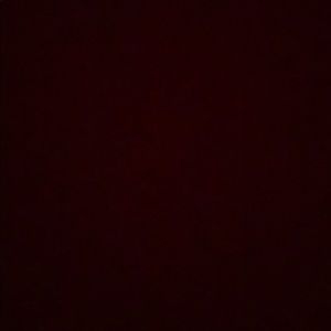 Meet your Posher, Adelaida